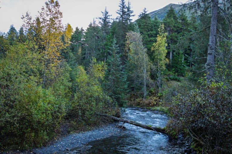 Bird Creek Falls - 2025