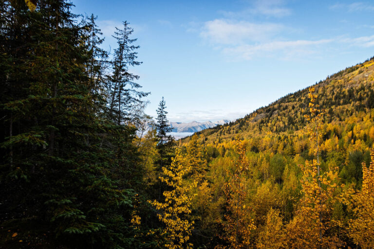 Bird Creek Falls - 2025