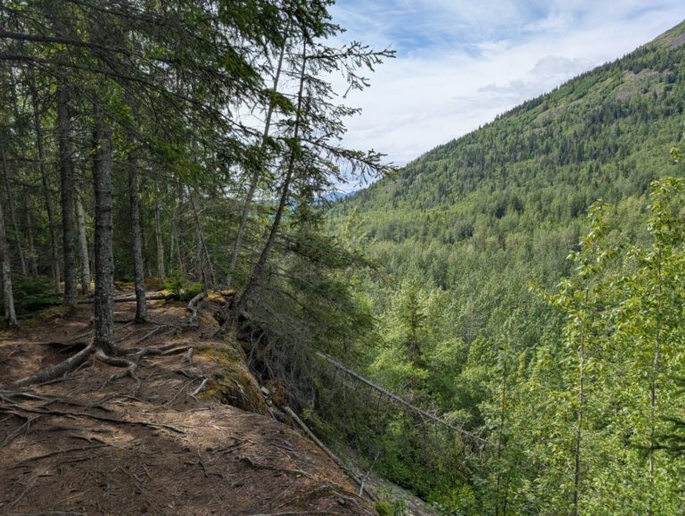 Bird Creek Falls - July 2026