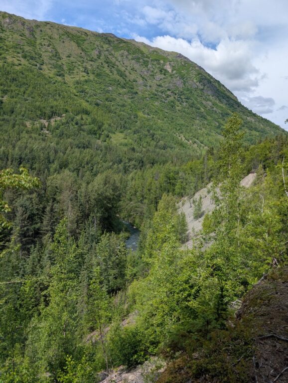 Bird Creek Falls - July 2026