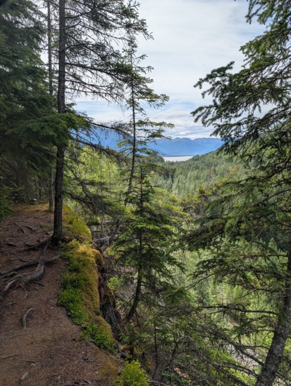 Bird Creek Falls - July 2026