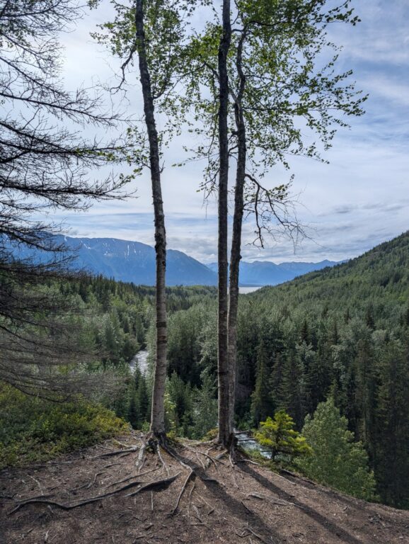 Bird Creek Falls - July 2026