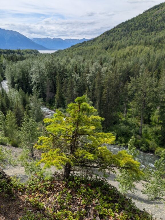 Bird Creek Falls - July 2026