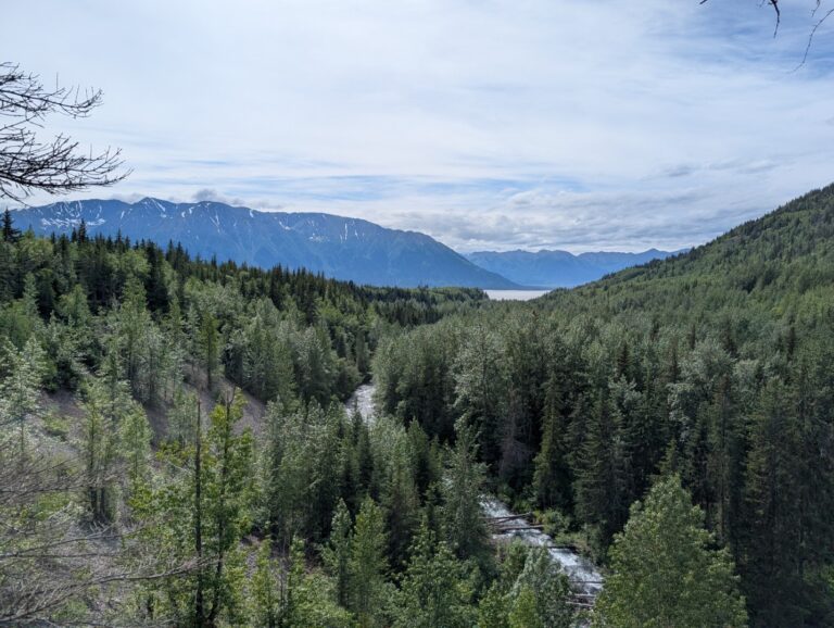 Bird Creek Falls - July 2026