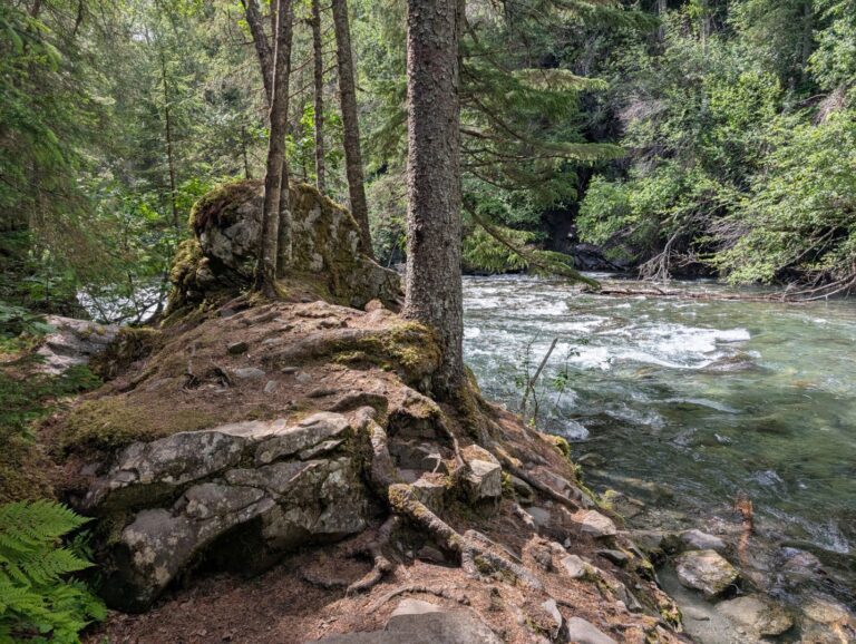 Bird Creek Falls - July 2026