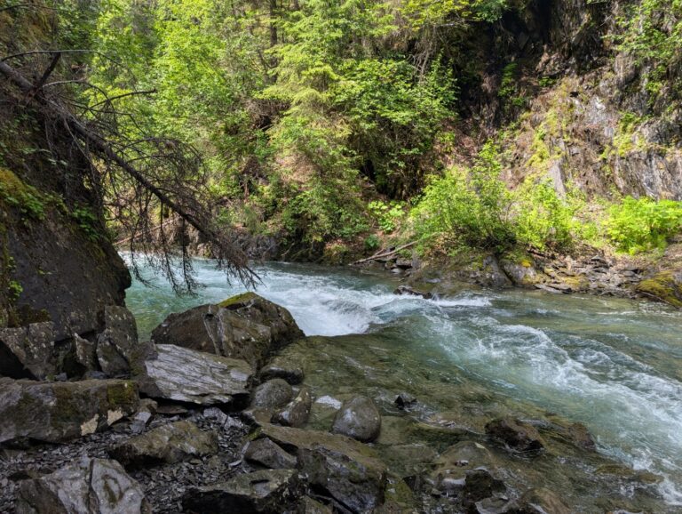 Bird Creek Falls - July 2026