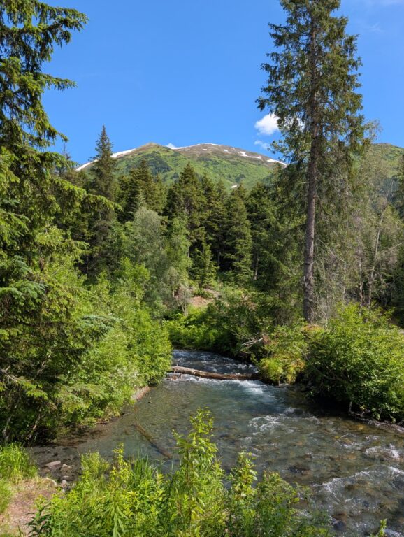 Bird Creek Falls - July 2026