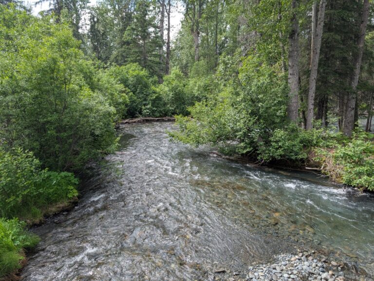 Bird Creek Falls - July 2026