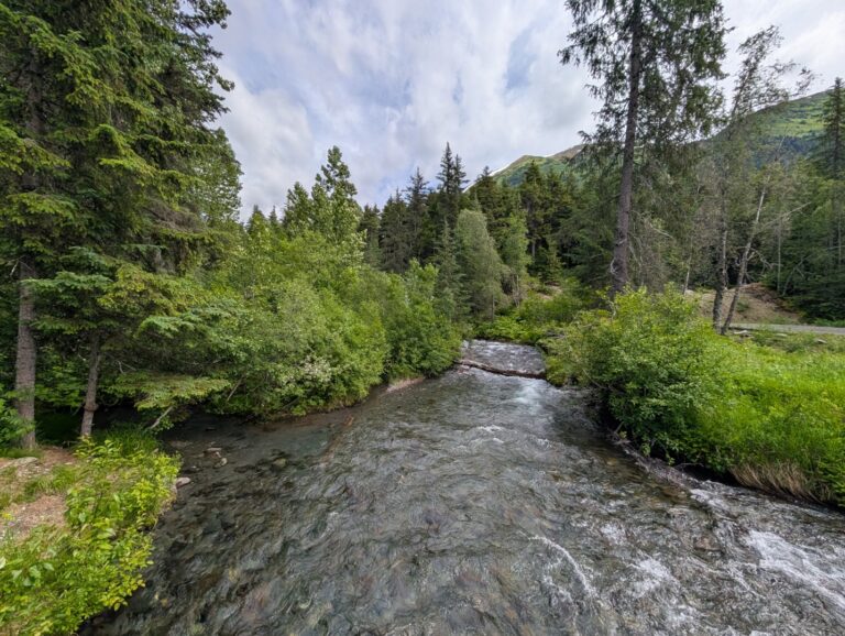 Bird Creek Falls - July 2026