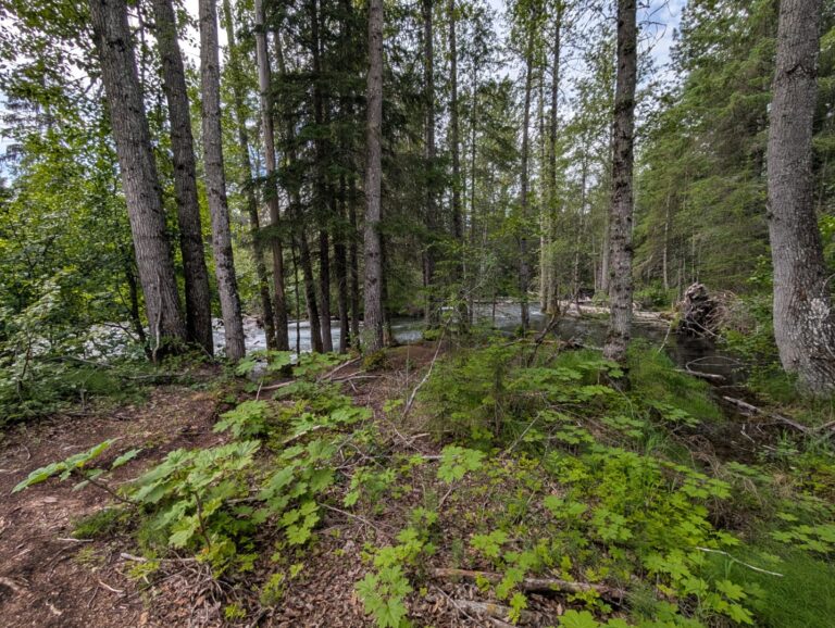 Bird Creek Falls - July 2026