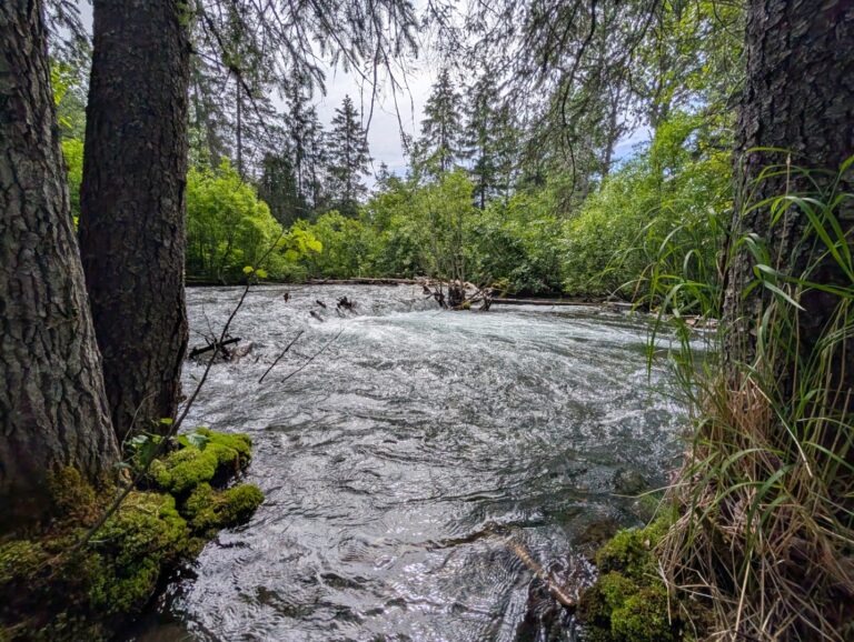 Bird Creek Falls - July 2026