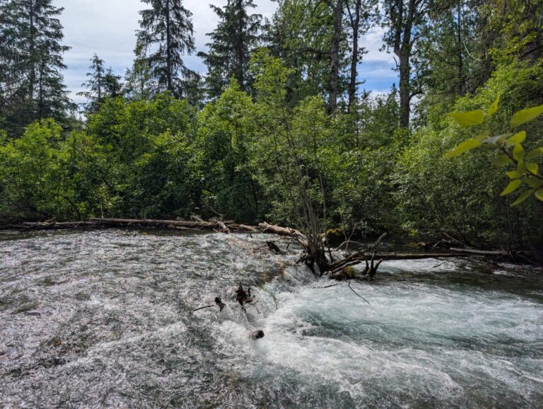Bird Creek Falls - July 2026