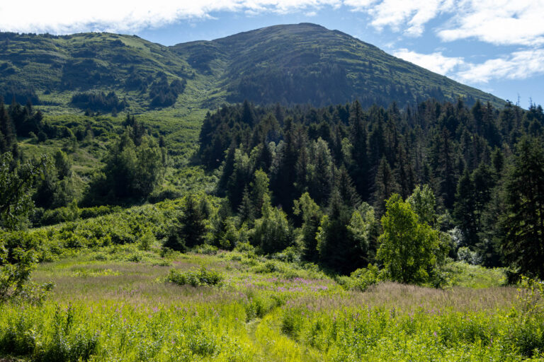 Bird Valley Trail - 2024
