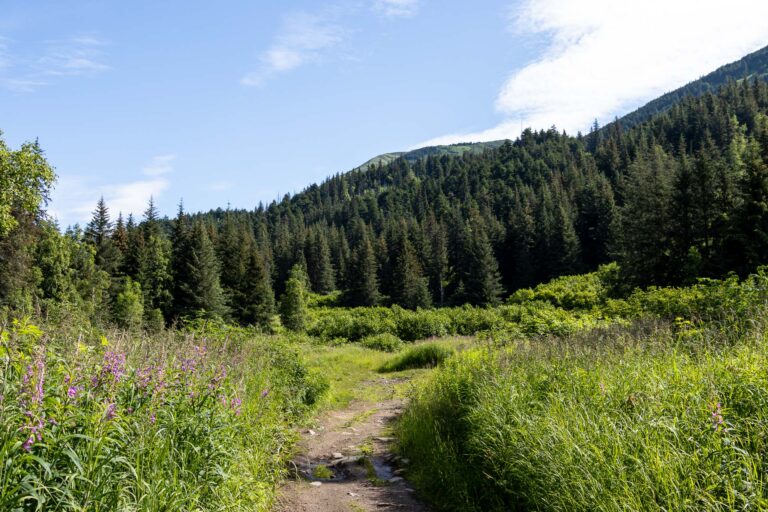 Bird Valley Trail - 2024