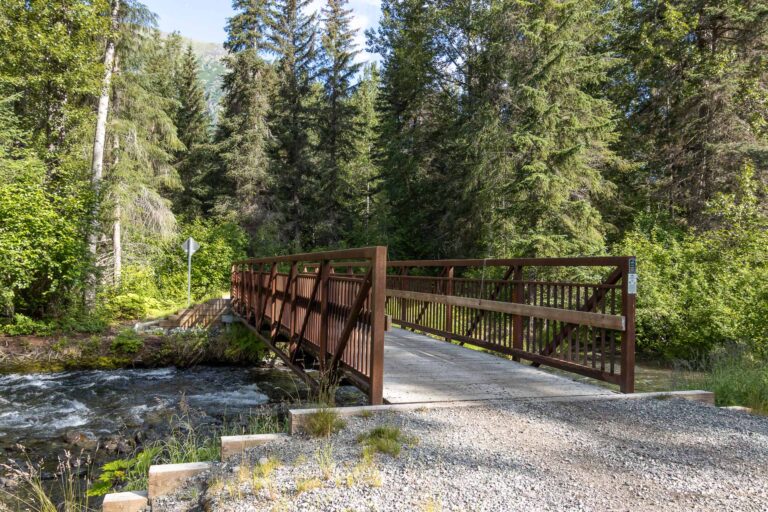 Bird Valley Trail - 2024