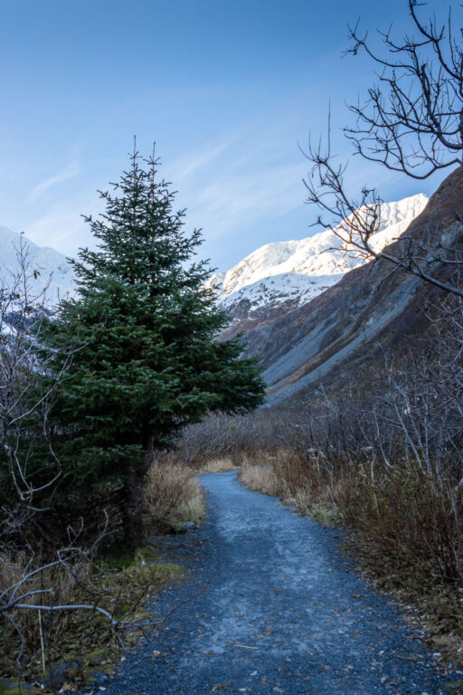 Byron Glacier Trail 2024 11