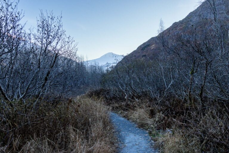 Byron Glacier Trail 2024 2