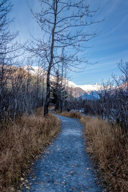 Byron Glacier Trail 2024 21