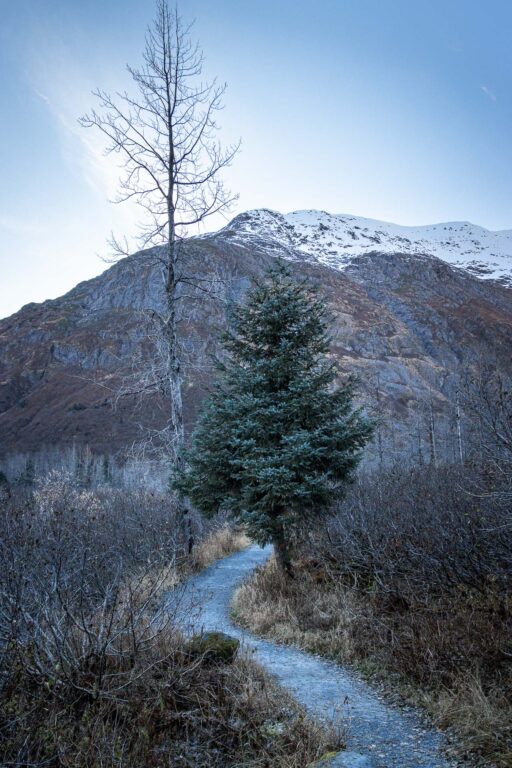 Byron Glacier Trail 2024 3