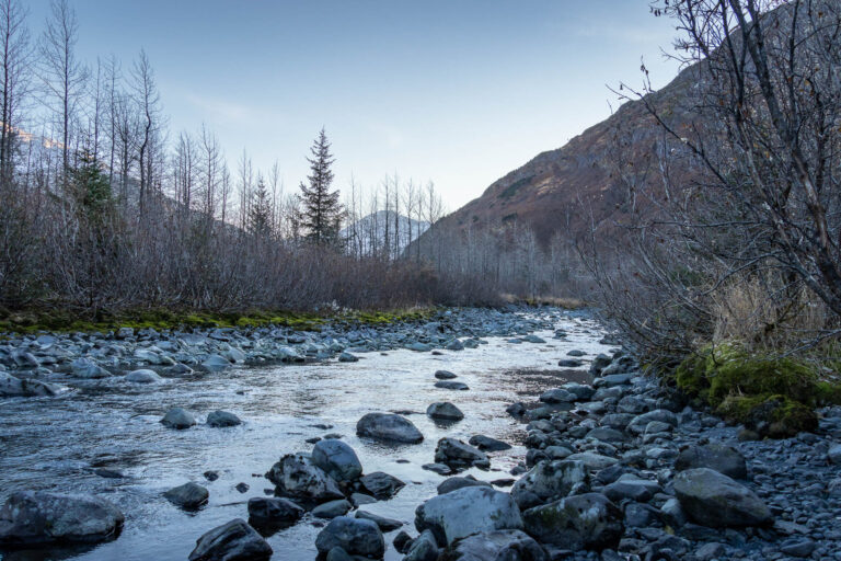 Byron Glacier Trail 2024 4