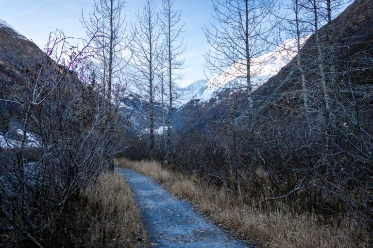 Byron Glacier Trail 2024 5