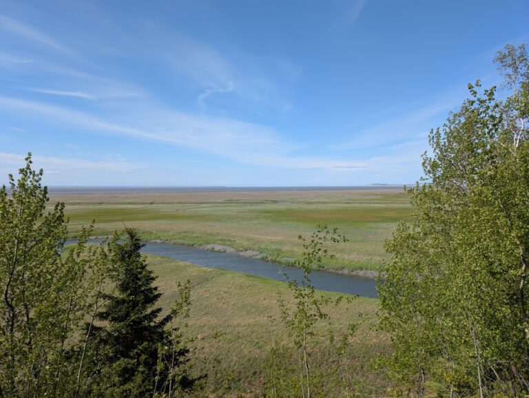 Campbell Creek Estuary - June 2026