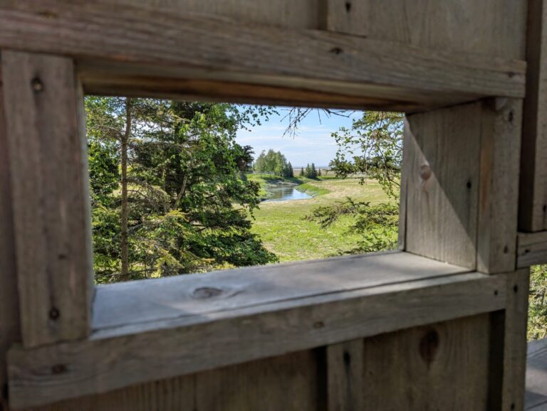 Campbell Creek Estuary - June 2026