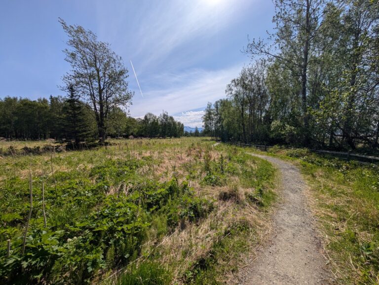 Campbell Creek Estuary - June 2026