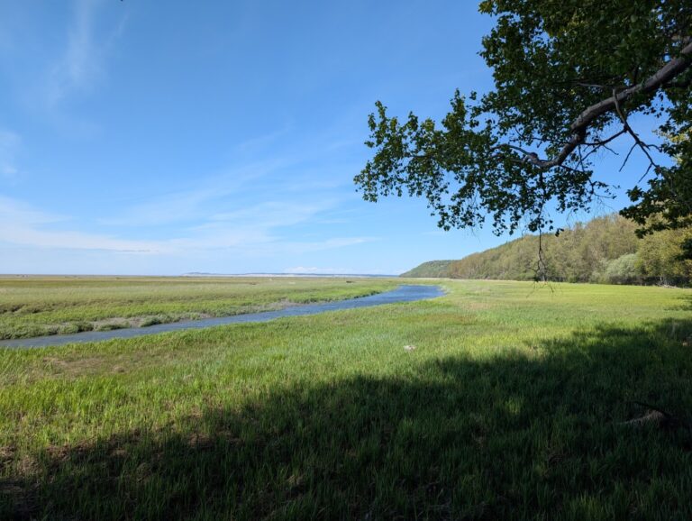 Campbell Creek Estuary - June 2026