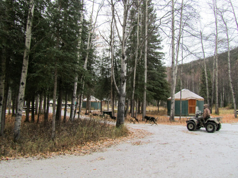 Chena Hot Springs - 2010