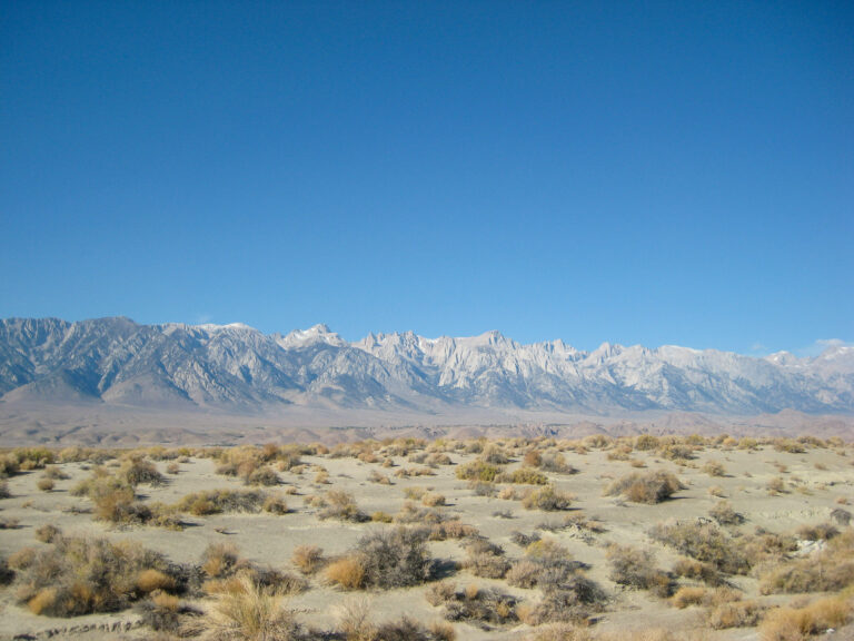 Death Valley - 2011