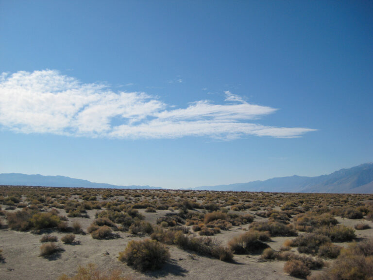 Death Valley - 2011