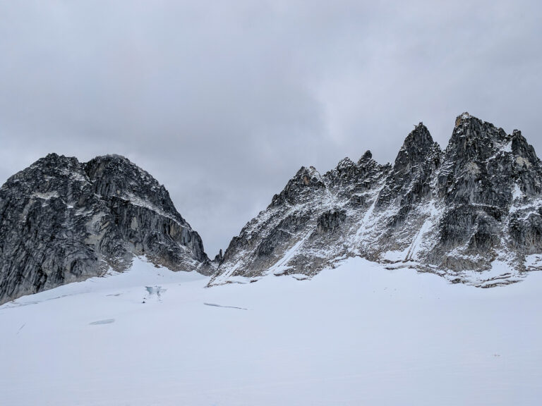 Denali Flight Tour - 2017
