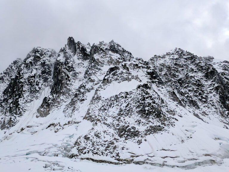 Denali Flight Tour - 2017