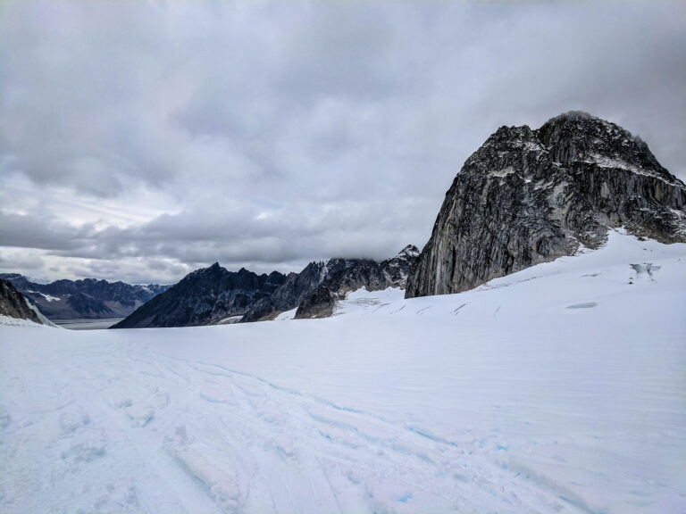 Denali Flight Tour - 2017