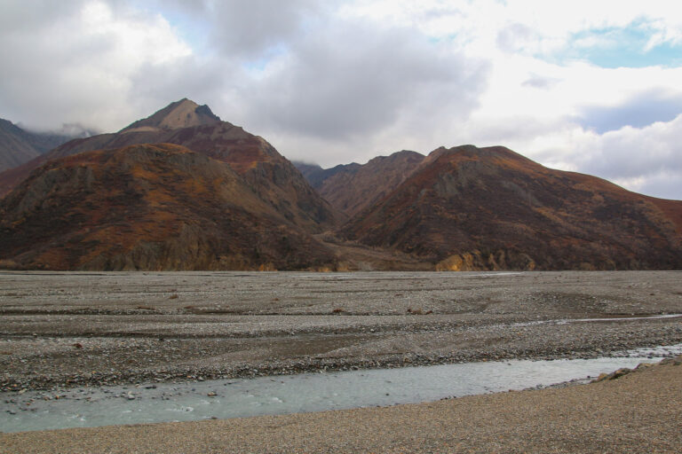 Denali National Park - 2019