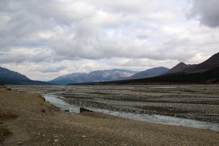 Denali National Park - 2019
