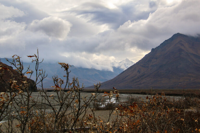 Denali National Park - 2019