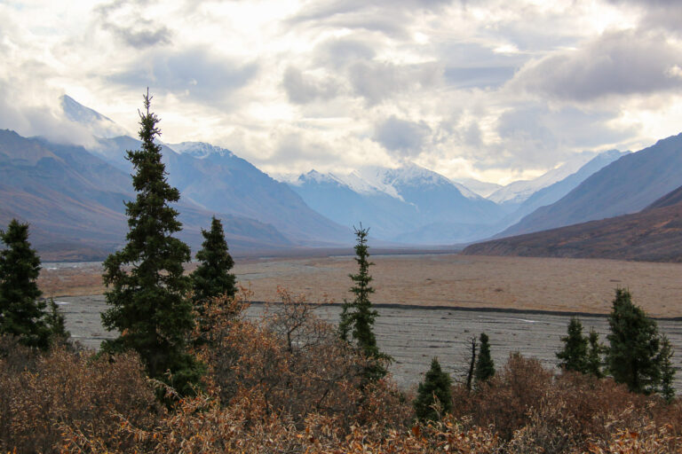 Denali National Park - 2019