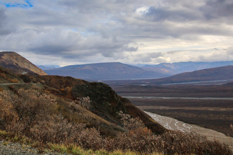 Denali National Park - 2019