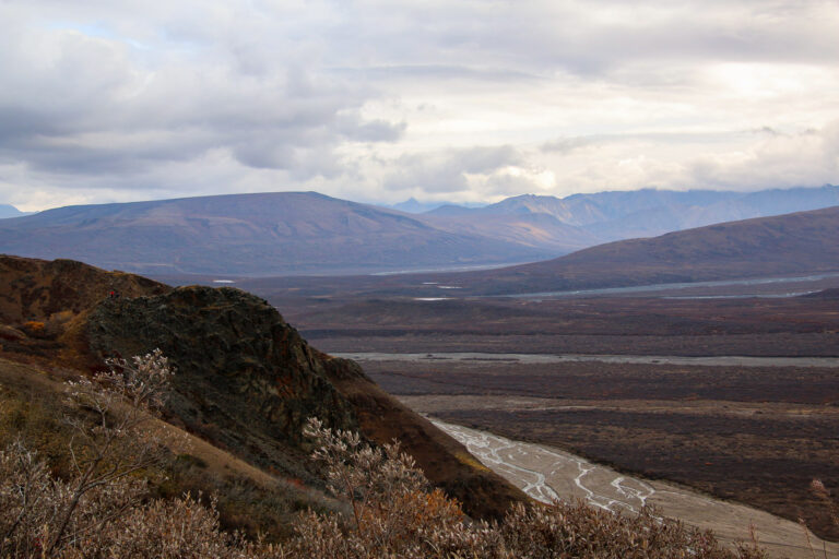 Denali National Park - 2019