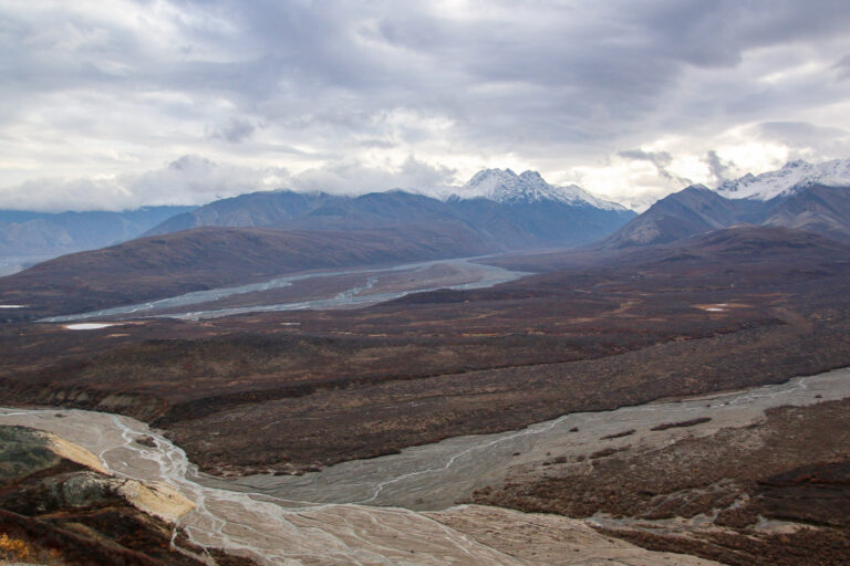 Denali National Park - 2019