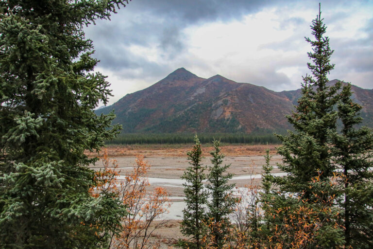 Denali National Park - 2019