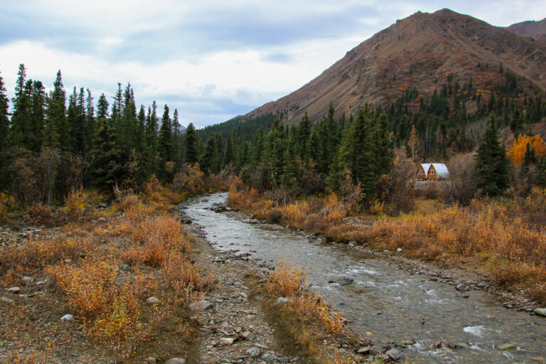 Denali National Park - 2019