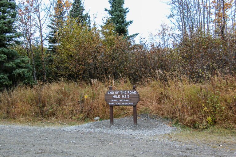 Denali National Park - 2019