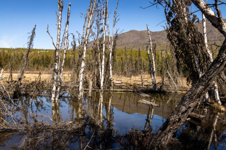 Eagle River Greenbelt Trail - 2025