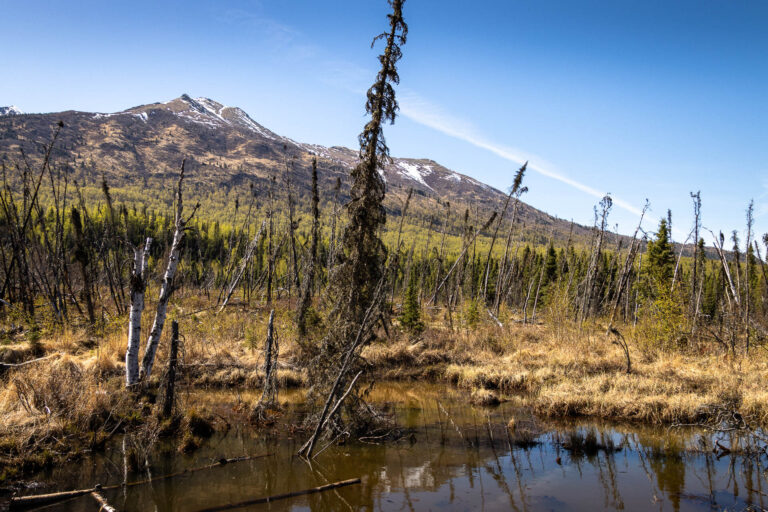 Eagle River Greenbelt Trail - 2025