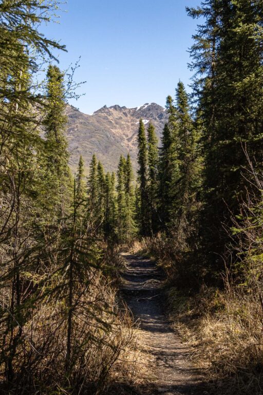 Eagle River Greenbelt Trail - 2025
