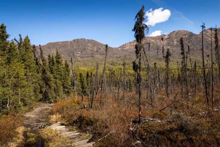 Eagle River Greenbelt Trail - 2025