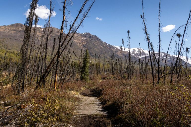 Eagle River Greenbelt Trail - 2025